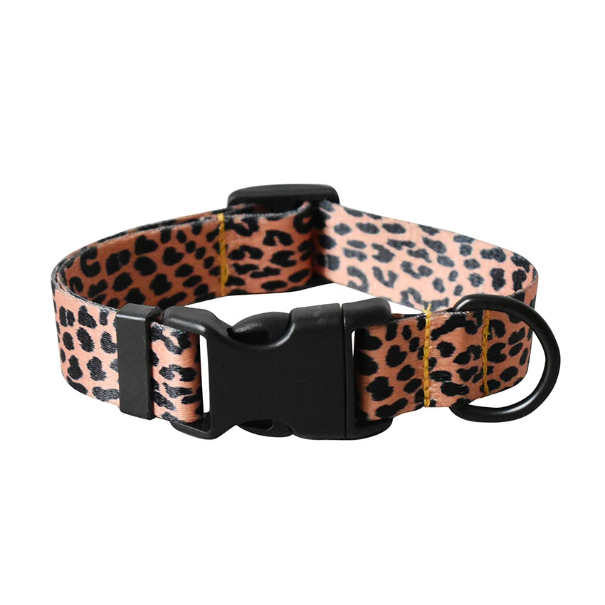 leopard color collar pet accessories designe for beagle collars dog leash dogs beagle pet kit dog collar leash