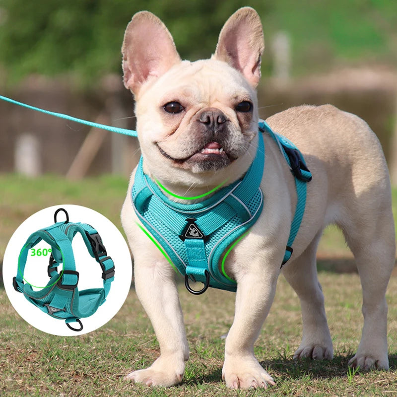 Dog Harness Leash Set Adjustable Pet Harness Vest For Small Large Dog Cat Reflective Mesh Puppy Cat Chest Strap Dog Accessories