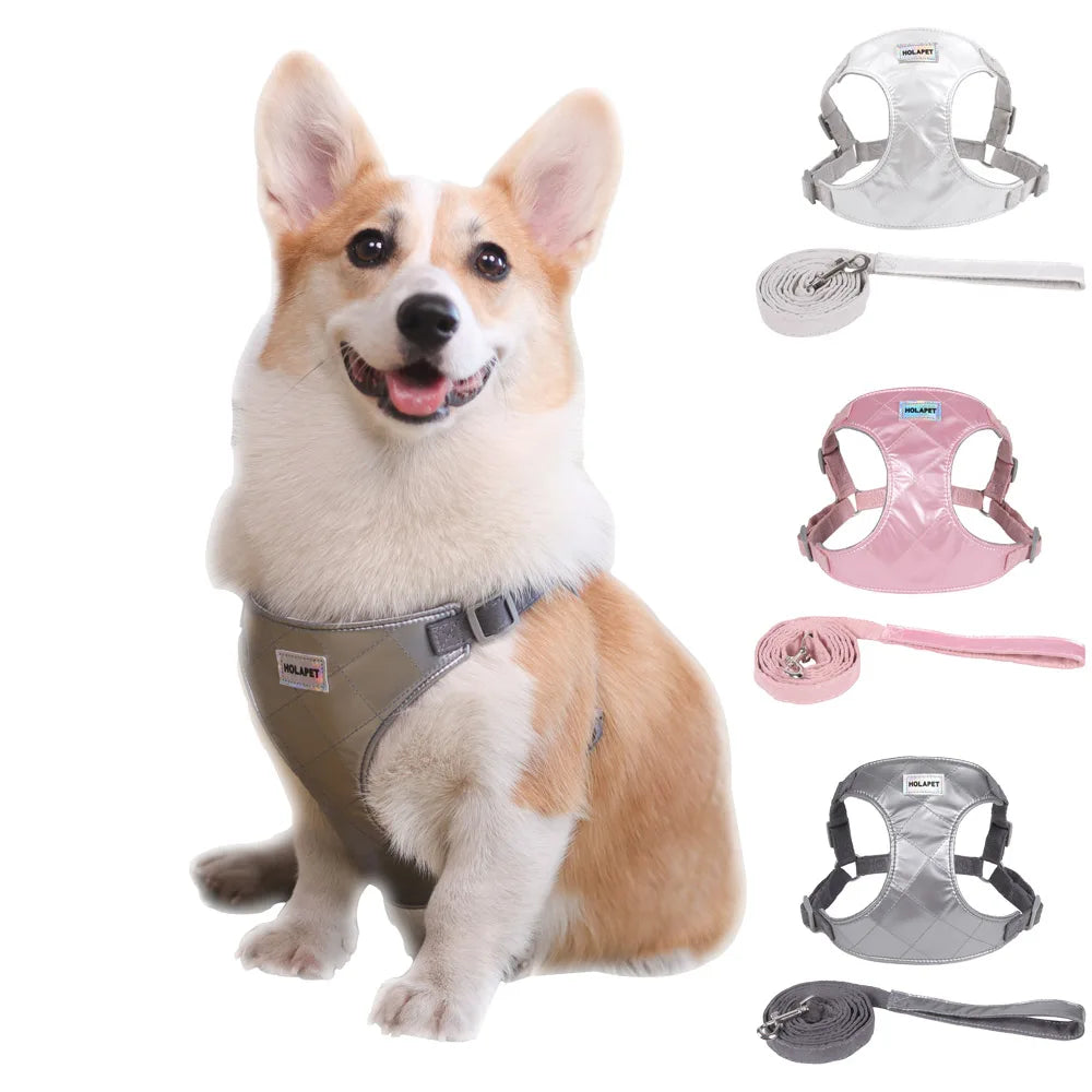 Adjustable Pet Dog Harness and Leash Set for Small Medium Dogs Cats No-Pull Puppy Solid Chest Strap French Bulldog Accessories