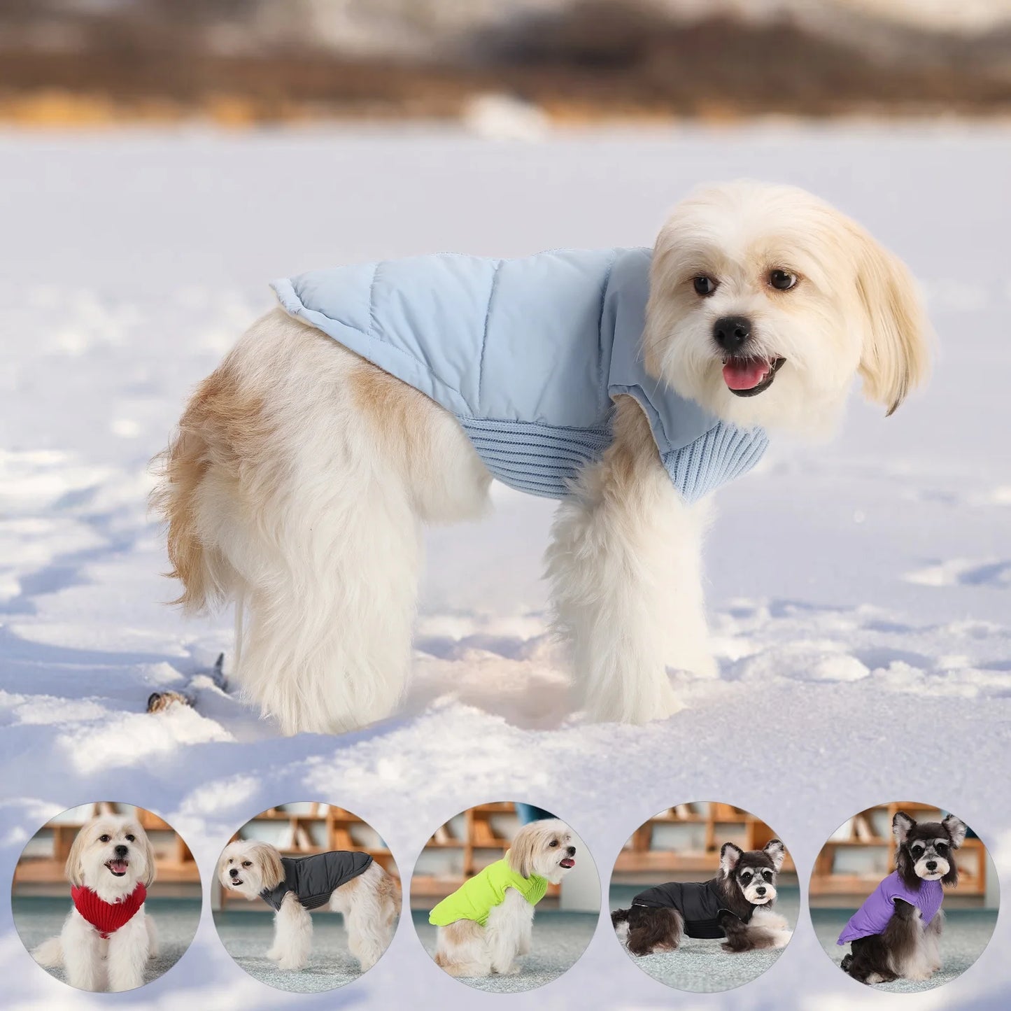 Winter Pet Dog Jacket Windproof Warm Dogs Clothes for Small Medium Dogs Cats Puppy Down Coat Chihuahua Shih Tzu Costume Yorkies