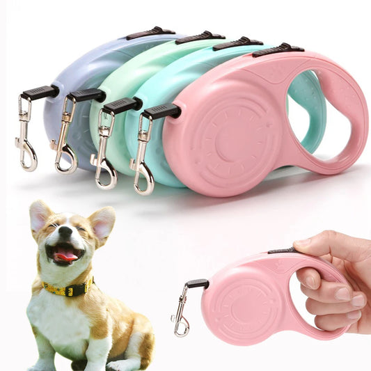 3m 5m Dog Leash For Small Medium Dogs Cat Retractable Nylon Rope Puppy Walking Roulette Traction Lead Chihuahua Pet Accessories