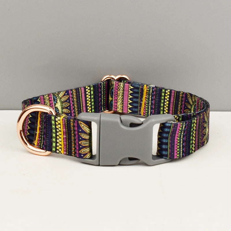 A variety of pet dog webbing safety buckle collar large and small dog chain leash combination set