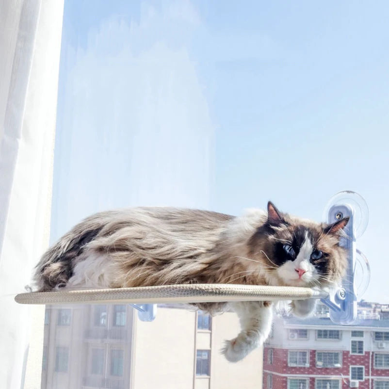 Cat hanging nest super suction cup swing sun can be removed and washed mattress windowsill glass hanging bed pet supplies