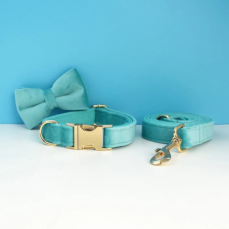 Luxury Dog Leash and Collar ，retractable walking collar for small and big pet .