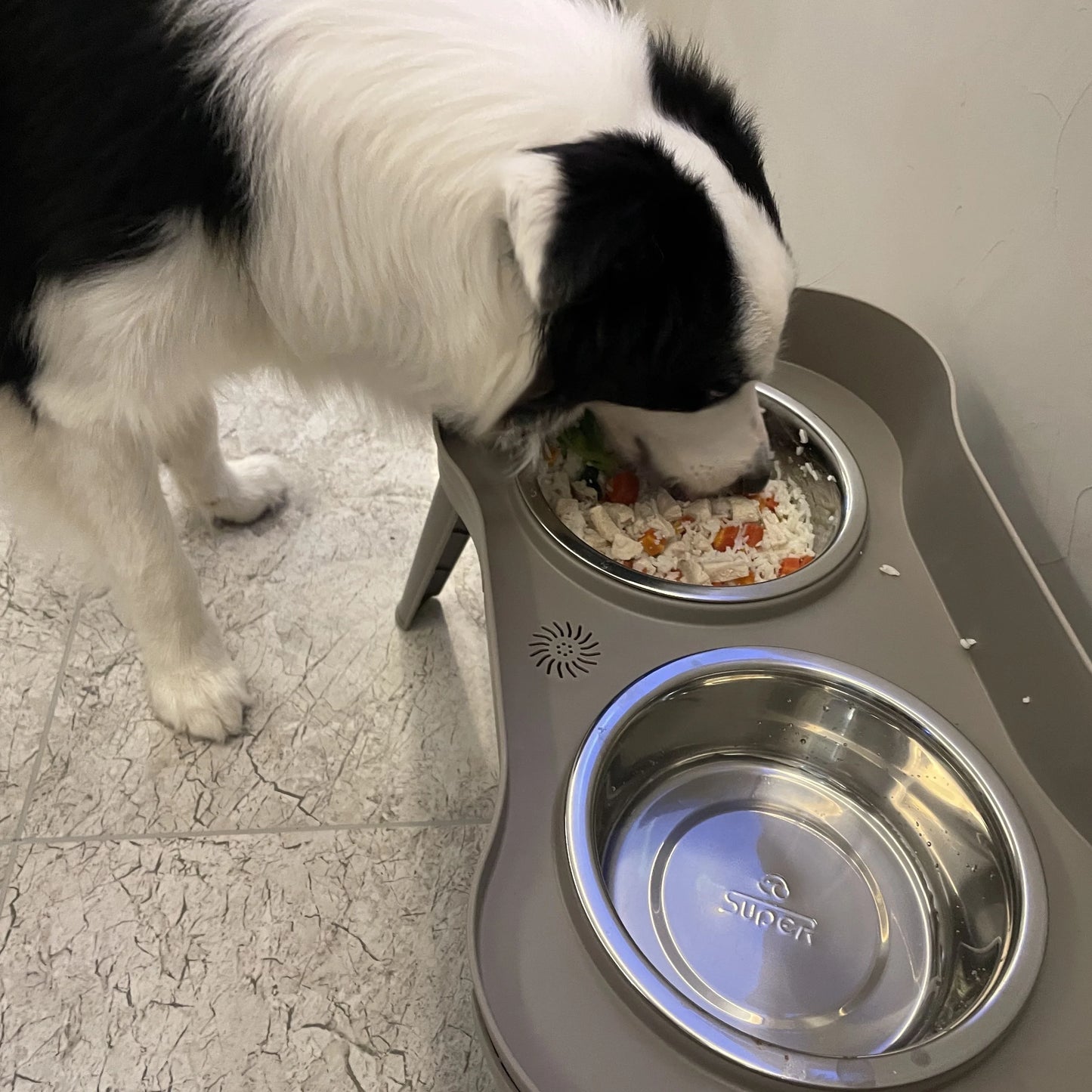 Elevated Dog Bowls for Large, Medium, and Small Dogs - Promotes Healthy Digestion and Comfortable Feeding