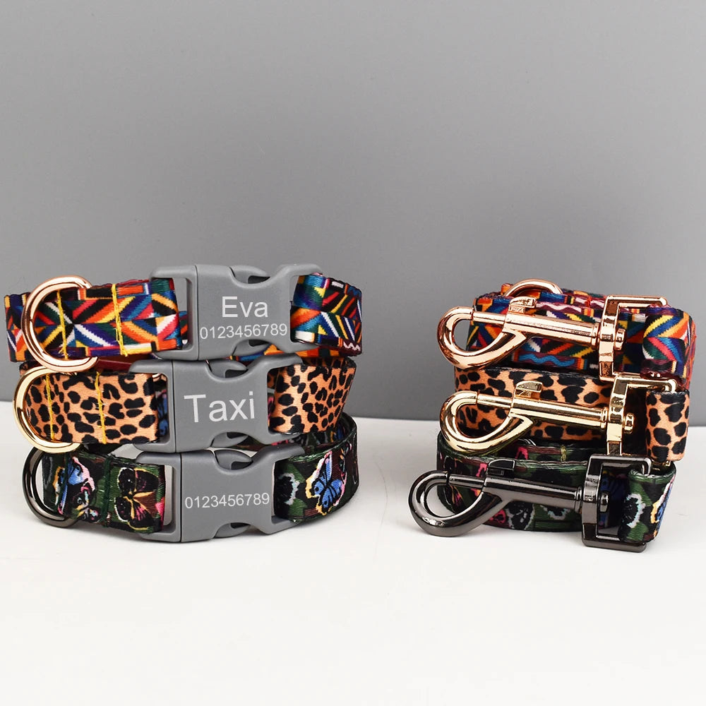 A variety of pet dog webbing safety buckle collar large and small dog chain leash combination set