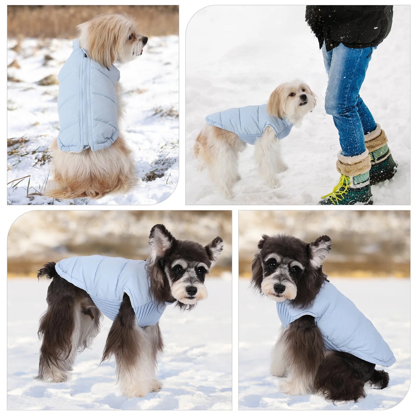 Winter Pet Dog Jacket Windproof Warm Dogs Clothes for Small Medium Dogs Cats Puppy Down Coat Chihuahua Shih Tzu Costume Yorkies