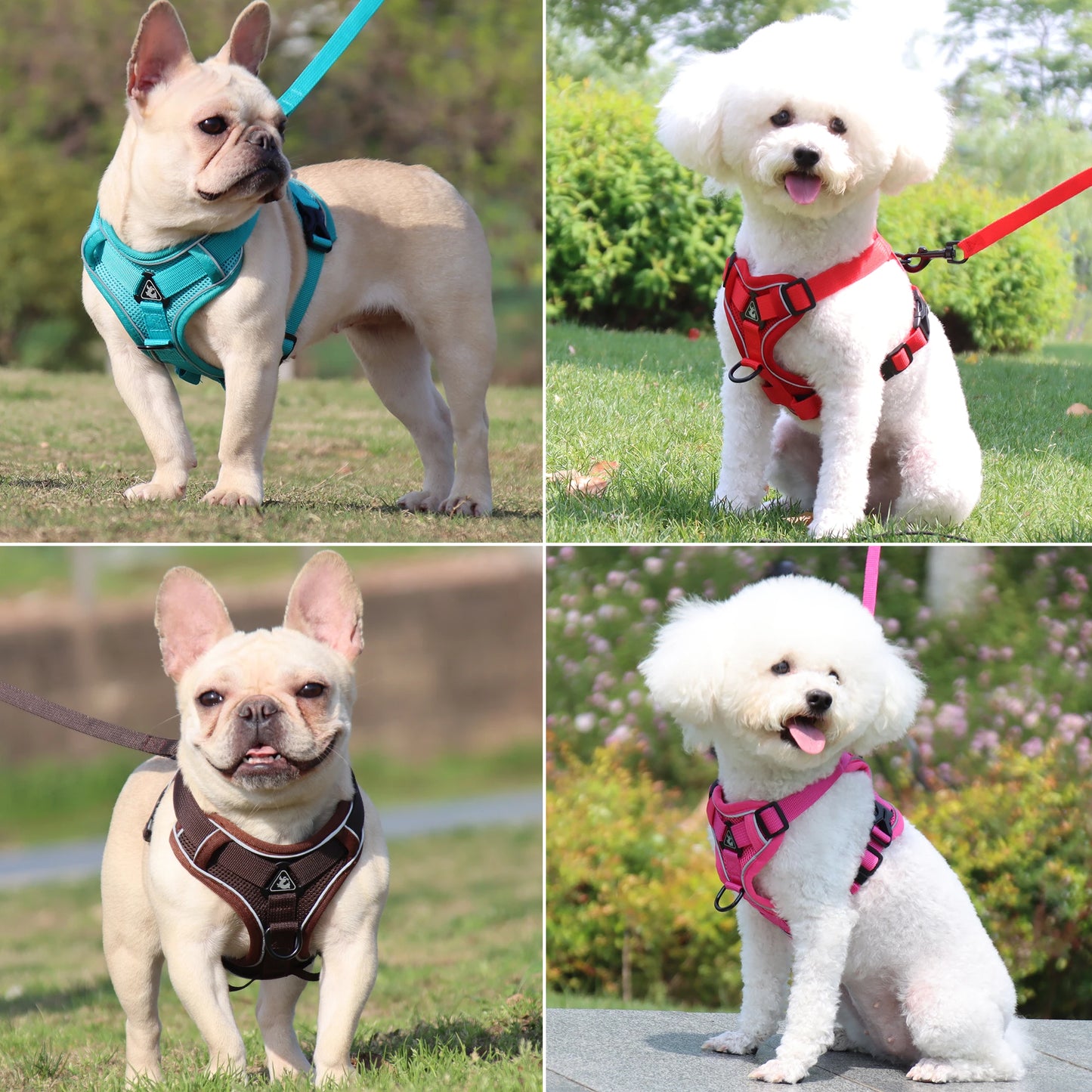 Reflective Dog Harness and Leash Set Outdoor Training Adjustable Harness Safety Pet Dog Accessories for Small Medium Big Dog Cat