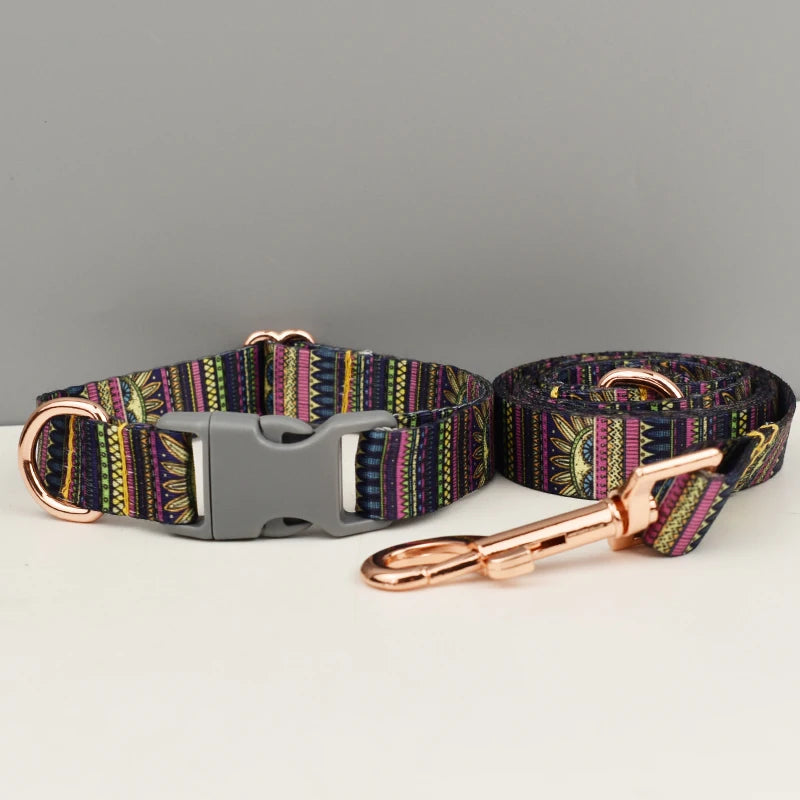 A variety of pet dog webbing safety buckle collar large and small dog chain leash combination set