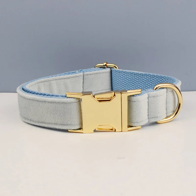 Luxury Dog Leash and Collar ，retractable walking collar for small and big pet .